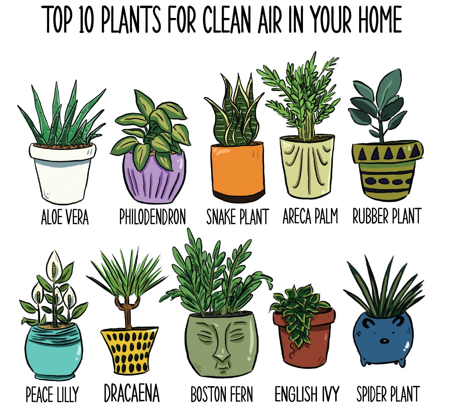 Plants vs. Vents