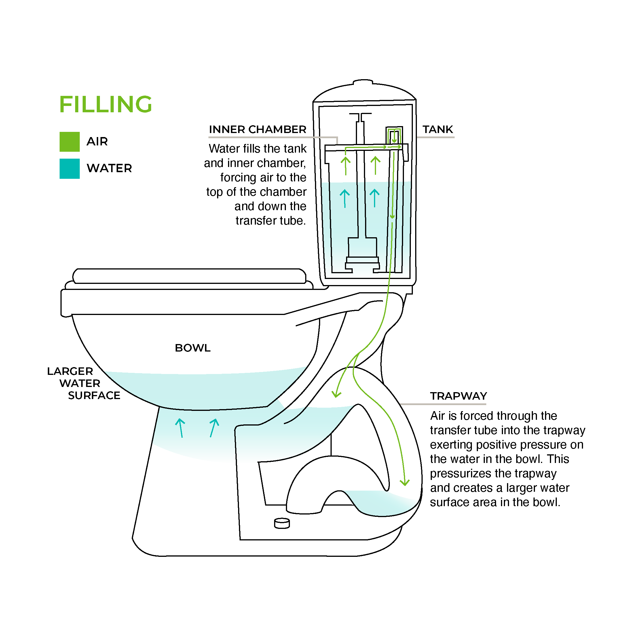 How it Works – The Toilet Bowl